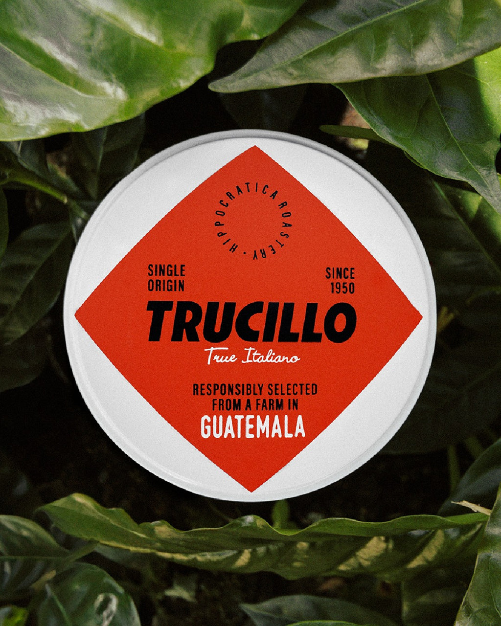 Cafea boabe TRUCILLO Ecstattic Honduras - 250gr TRUCILLO