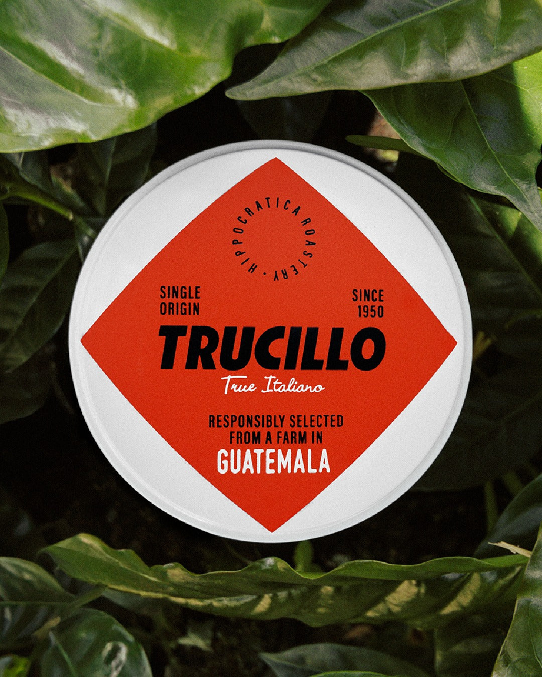 Cafea boabe TRUCILLO Ecstattic Honduras - 250gr TRUCILLO